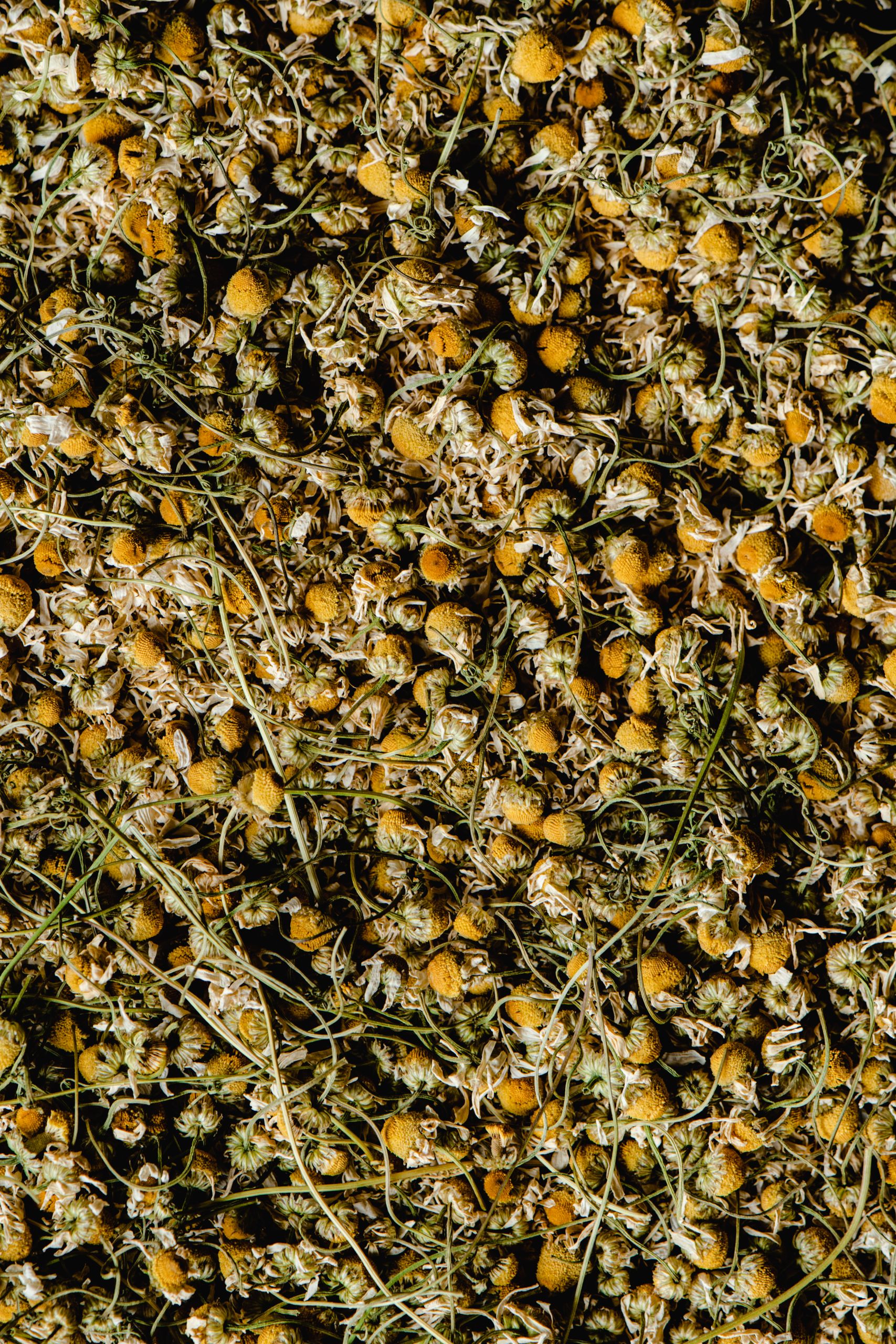 A close-up of bulk dried chamomile flowers, ideal for herbal tea blends or natural remedies.